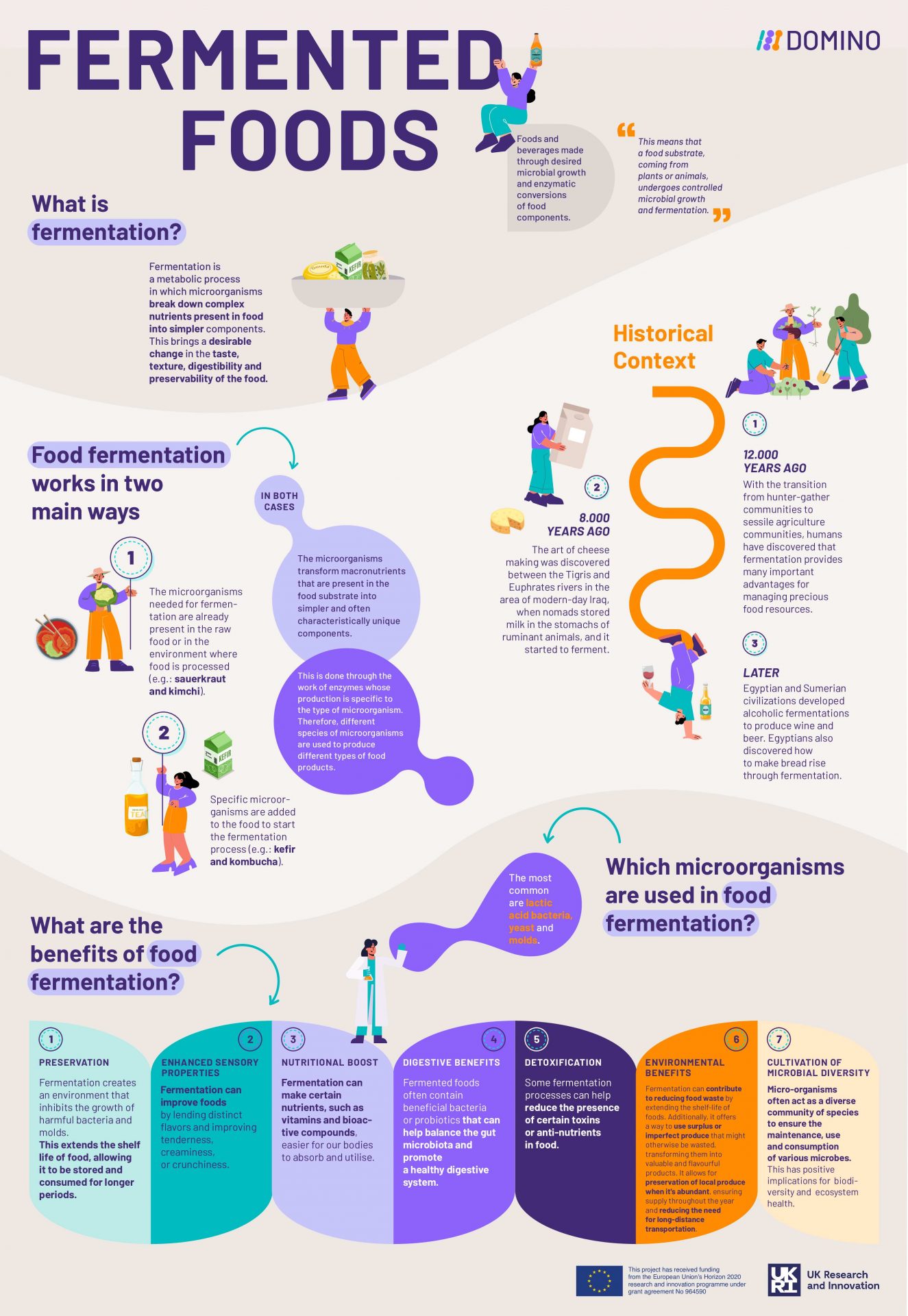 DOMINO_Infographic_Fermented_Foods