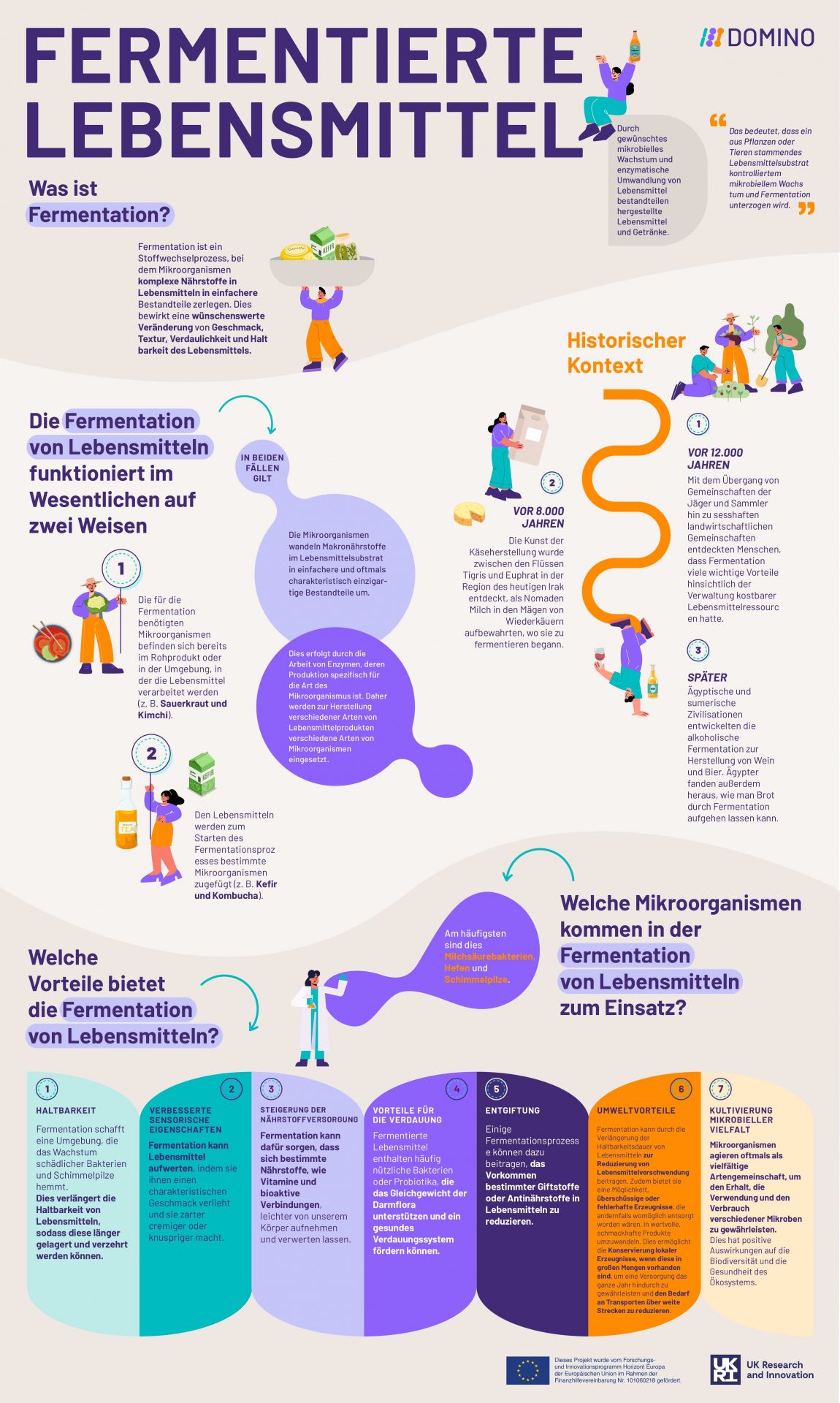 DOMINO_Infographic_Fermented_Foods_Translated_DE