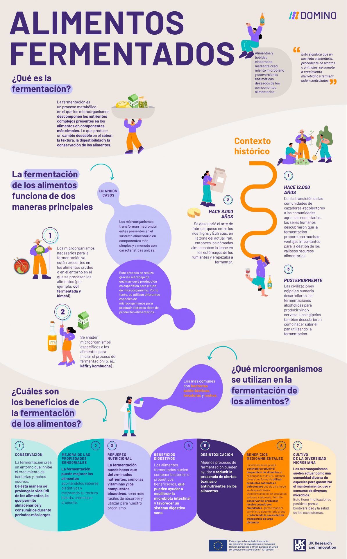 DOMINO_Infographic_Fermented_Foods_Translated_ES