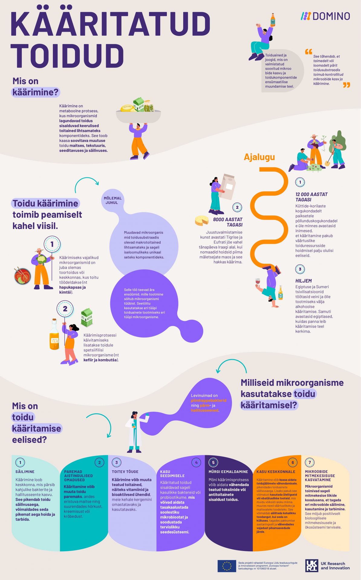 DOMINO_Infographic_Fermented_Foods_Translated_ET