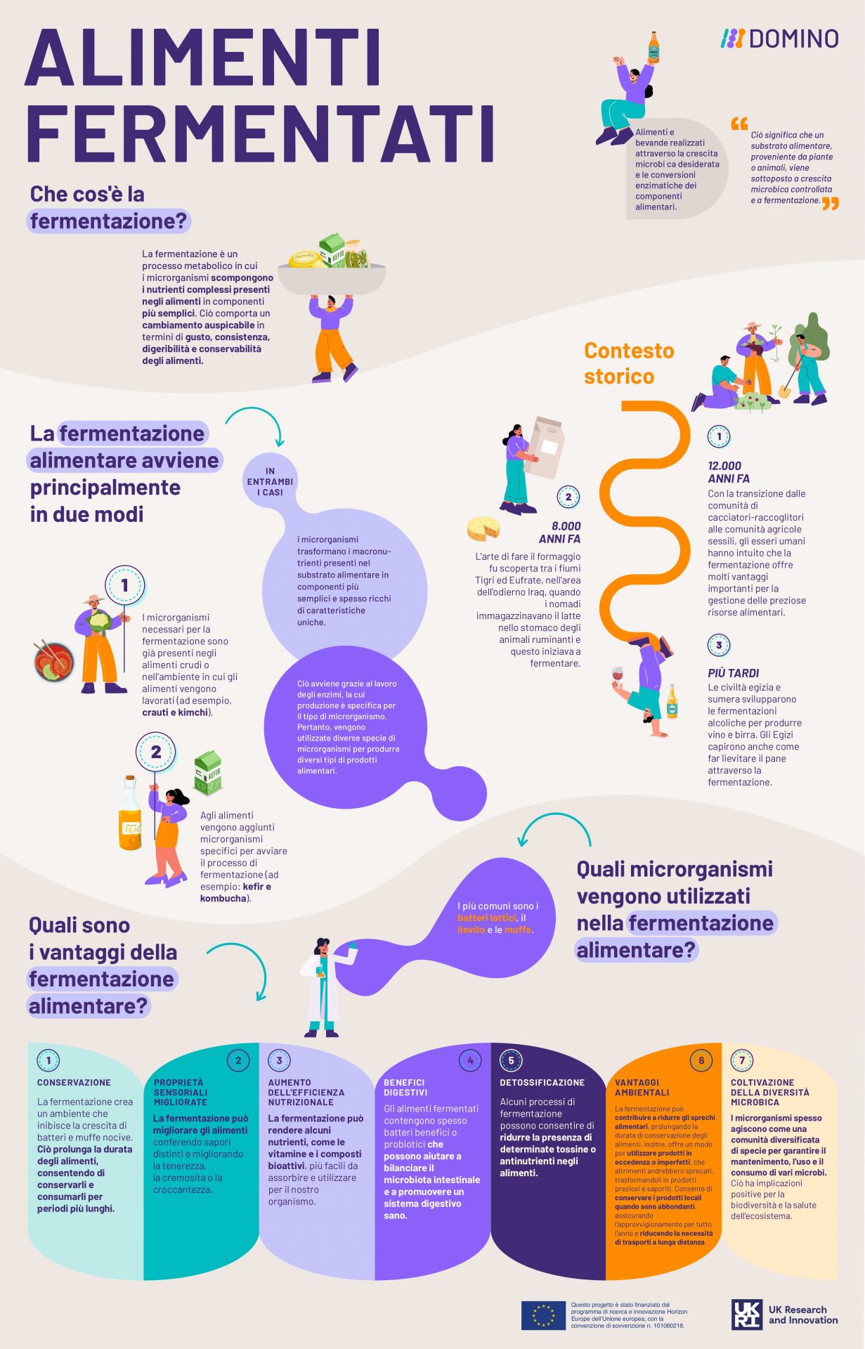 DOMINO_Infographic_Fermented_Foods_Translated_IT