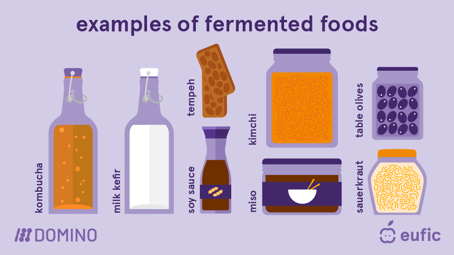 EUFIC-DOMINO_Fermented-foods_examples