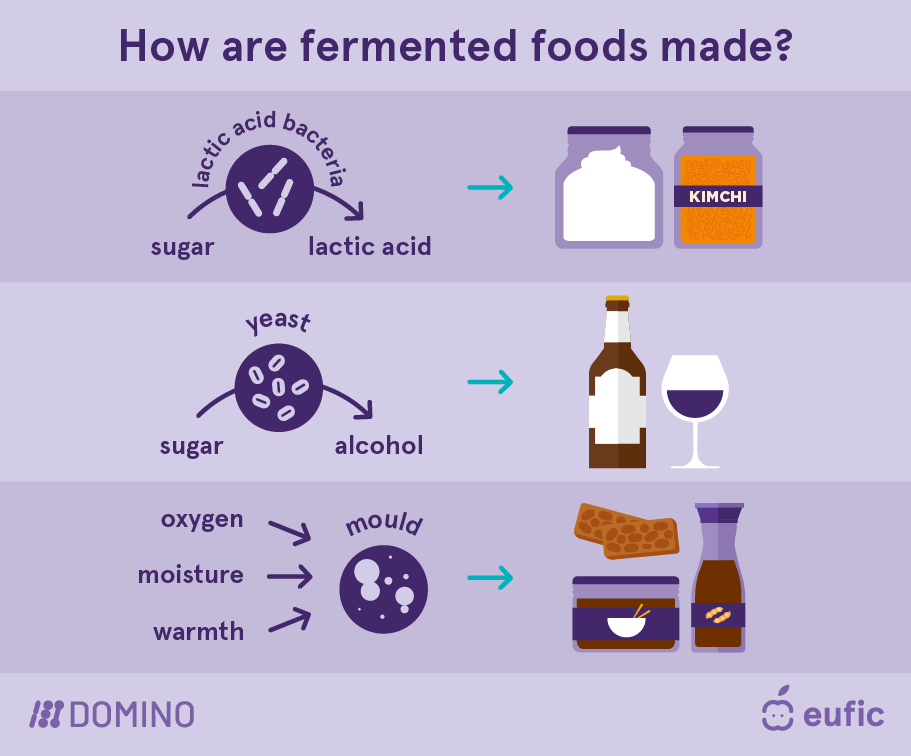 EUFIC-DOMINO_Fermented-foods_how-fermented-foods-are-made